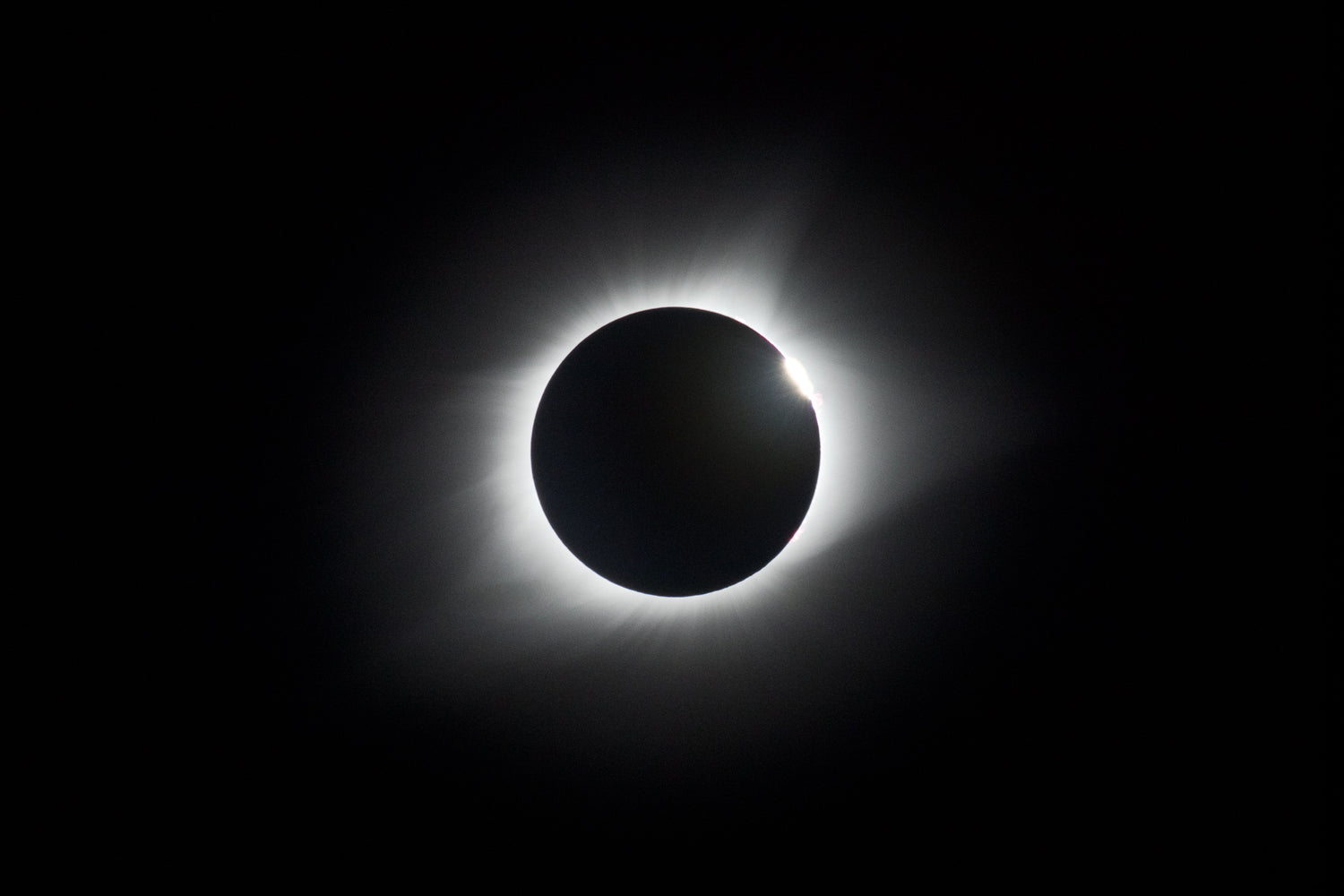 Eclipse Prints