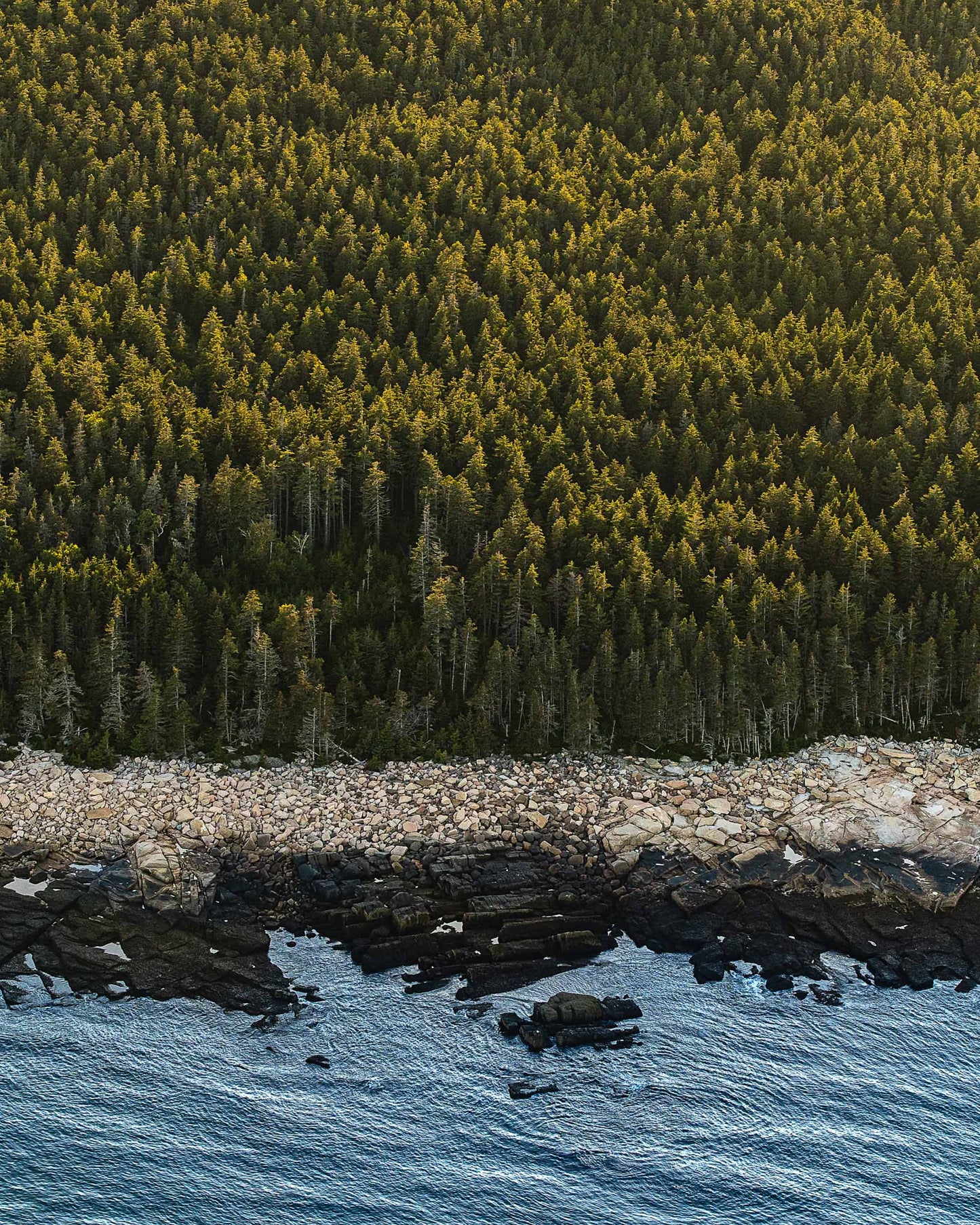 Maine Coast from Above