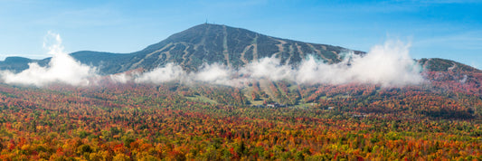 Sugarloaf Fall Panorama