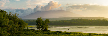 Maine Magnum Opus - Moose Panorama